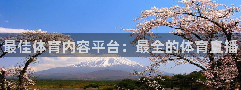 最佳体育内容平台：最全的体育直播