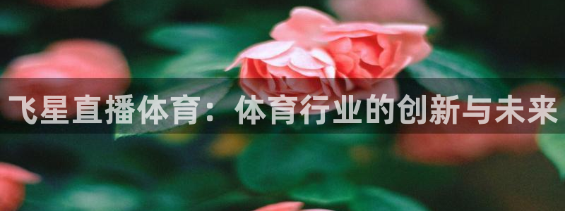 飞星直播体育：体育行业的创新与未来