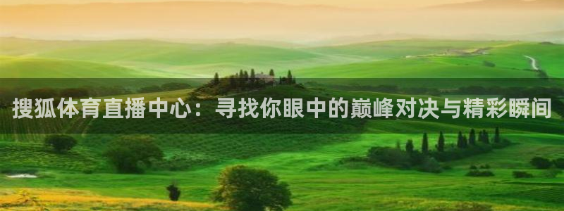 搜狐体育直播中心：寻找你眼中的巅峰对决与精彩瞬间