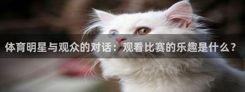 体育明星与观众的对话：观看比赛的乐趣是什么？