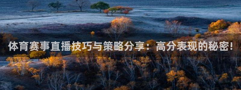 体育赛事直播技巧与策略分享：高分表现的秘密!